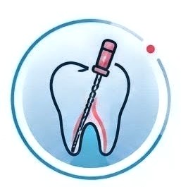 Endodoncia